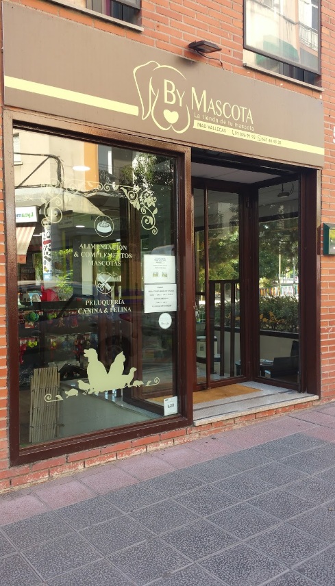 Galería de imágenes